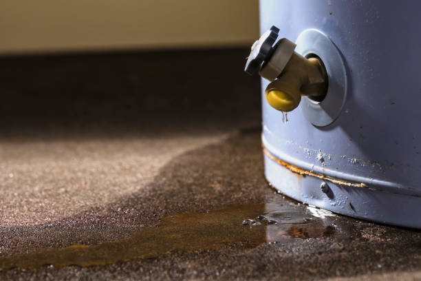 Sewage cleanup and water damage restoration in Ridgemark, CA