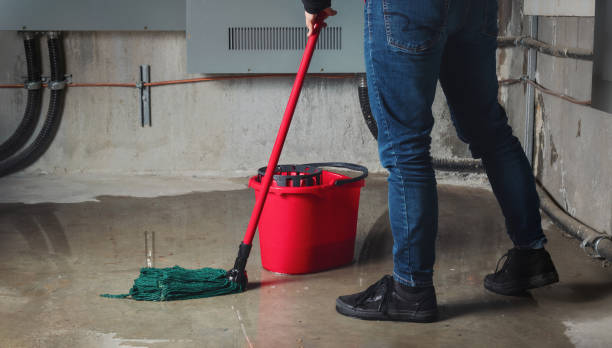 Best Water damage repair service  in Ridgemark, CA