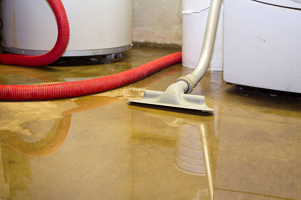 Best Water damage cleanup near me  in Ridgemark, CA