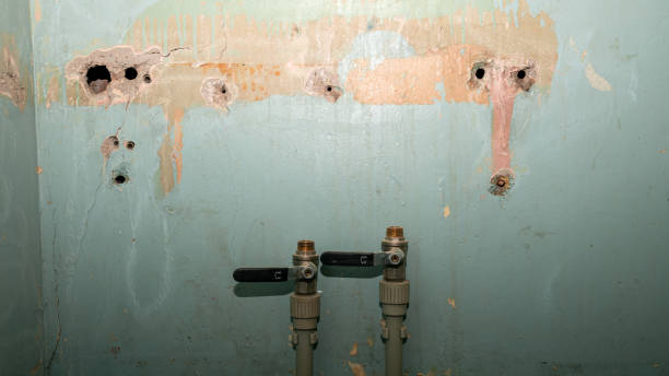 Best Water damage contractors near me  in Ridgemark, CA