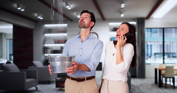Best Professional water damage repair  in Ridgemark, CA