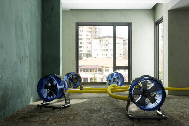 Best Water damage restoration cost  in Ridgemark, CA